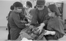 Phẫu thuật cắt khối u sarcoma nặng 9kg hiếm gặp