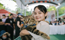 Người trẻ chi đậm để nuôi chó, mèo như 'em bé', 'con cưng', nhiều cảnh báo đi kèm