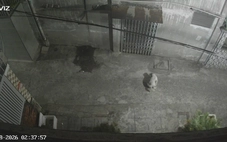 Chủ nuôi chó không biết ngượng thì phải xử lý, chứ sao phải kêu gọi mãi?