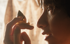 Giấc mơ là ốc sên của Nguyễn Thiên Ân tranh giải Phim ngắn tại Cannes