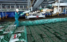 Phân bón Cà Mau hướng tới doanh thu 30.000 tỉ đồng, mở rộng xuất khẩu sang thị trường mới