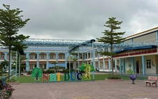 Không qua đấu thầu, doanh nghiệp vẫn được cấp thực phẩm vào trường học