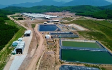 Mùi hôi từ trại heo 'tra tấn' người dân: Yêu cầu khắc phục trước ngày 2-5