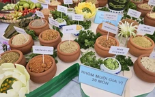 Ngắm bàn tiệc lập kỷ lục 100 món muối - giữ hồn di sản Việt