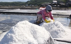 Đánh thức đồng muối Sa Huỳnh: Giữ nghề trăm năm, mở lối làm du lịch