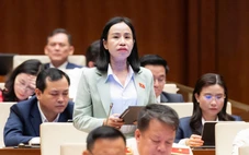 Đề xuất tăng thuế với xe điện từ 2031: Đại biểu lo thị trường đóng băng khi giá tăng mạnh