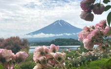 Suýt rớt visa Nhật vì sai sót hồ sơ