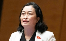 Đại biểu: UBND cấp xã có 2 phòng đảm nhận công việc của khoảng 14 sở, mỗi phòng đảm nhiệm 7 sở