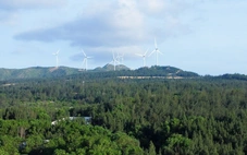 Gia Lai chuyển hơn 52ha rừng làm đường kết nối cao tốc