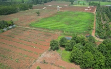 Đất giao làm dự án, hạn đầu tư đã hết mà vẫn chưa triển khai