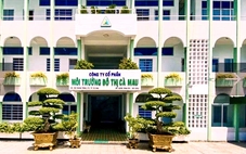 Công ty cổ phần Môi trường đô thị Cà Mau cầu cứu do không còn lãnh đạo