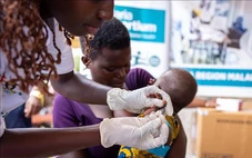 WHO phê duyệt thuốc trị sốt rét cho trẻ sơ sinh và trẻ nhỏ