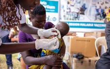 WHO phê duyệt thuốc trị sốt rét cho trẻ sơ sinh và trẻ nhỏ
