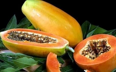 Những trái cây chứa nhiều dinh dưỡng, hỗ trợ sức khỏe hệ tiêu hóa