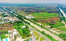 Nền móng cho mai sau