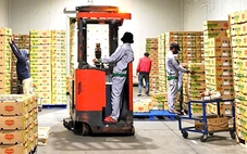 Kho lạnh giúp bảo vệ nông dân