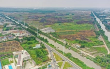 Nền móng cho mai sau