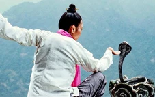 Những loài động vật nào phổ biến nhất trong kung fu Trung Hoa?