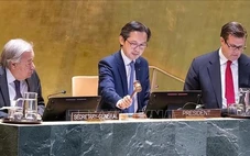 Việt Nam chủ trì khai mạc Hội nghị kiểm điểm Hiệp ước Không phổ biến vũ khí hạt nhân