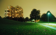 Mối liên quan giữa ánh sáng ban đêm với rối loạn miễn dịch