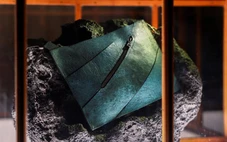 Túi xách ‘da khủng long’ giá hơn 500.000 USD ra mắt, gây tranh cãi khoa học