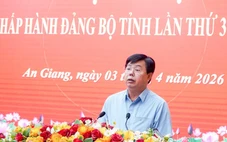 Bí thư An Giang: 'Không nhất thiết duy trì diện tích lúa quá lớn nếu hiệu quả thấp'