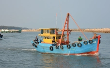 Dự án nạo vét luồng cửa biển La Gi lại trễ hẹn