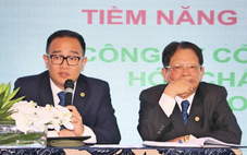 Lợi nhuận Hóa chất Đức Giang 'bốc hơi' mạnh sau khi lãnh đạo bị bắt