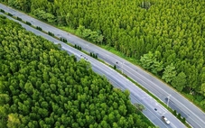 Runner Cần Giờ kỳ vọng sắc xanh phủ kín VnExpress Marathon Green Paradise Cần Giờ