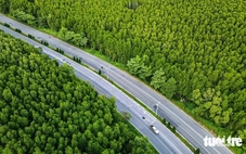 Runner Cần Giờ kỳ vọng sắc xanh phủ kín VnExpress Marathon Green Paradise Cần Giờ