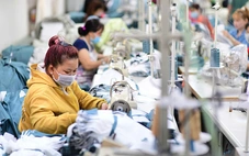 Doanh nghiệp đầu tư công nghệ để vượt 'bão'