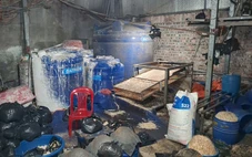 Khởi tố người phụ nữ làm giá đỗ bằng hóa chất độc hại, bán hơn 500 tấn ra chợ đầu mối