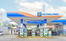 Petrolimex 'cài số lùi' lợi nhuận 2026, lần đầu lên tiếng trước áp lực từ xe điện