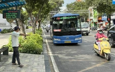 Sở Xây dựng TP.HCM có tờ trình xây dựng Nghị quyết miễn phí xe buýt theo thủ tục rút gọn