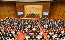 Quốc hội bắt đầu quy trình bầu Chủ tịch Quốc hội