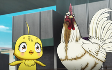 Đằng sau sự 'lố bịch' của anime Rooster Fighter là một câu chuyện nghiêm túc?