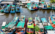 Cà Mau: 84 tàu cá nằm bờ, khẩn trương lập kịch bản chống đứt gãy cung ứng xăng dầu