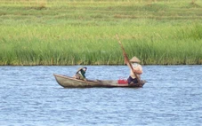 Nhà đầu tư đề xuất làm dự án điện mặt trời tại đầm Lâm Bình