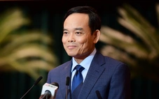 Bí thư Thành ủy TP.HCM Trần Lưu Quang chỉ đạo lập Quỹ Phát triển công nghiệp văn hóa TP.HCM