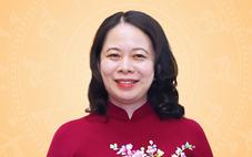 Phó chủ tịch nước Võ Thị Ánh Xuân tái đắc cử