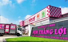 Nệm Thắng Lợi mở rộng quy mô, sẵn sàng cho giai đoạn phát triển mới