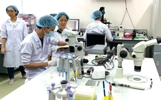 Nhà khoa học hồi hương: Biến kỳ vọng thành năng lực nghiên cứu