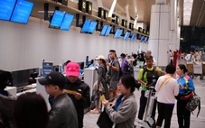 Hãng bay vẫn tăng chuyến dù giá nhiên liệu tăng