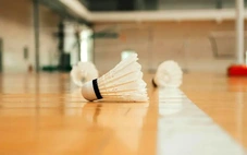 BWF thử nghiệm cầu lông tổng hợp do thiếu... lông vũ