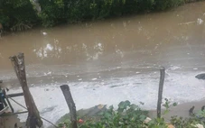 Gần 50 hộ dân kêu 'cứu' suốt một thập kỷ vì bị ô nhiễm môi trường