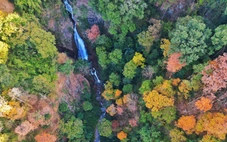 Ba tháng, Quảng Ngãi đón hơn 1,7 triệu du khách, thu gần 1.600 tỉ đồng