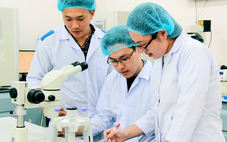 Bộ Nội vụ đề xuất các trường hợp nhân tài vào cơ quan  Nhà nước được hưởng phụ cấp 300%