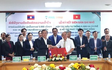 Hoàng Anh Gia Lai đầu tư 5.000ha cà phê tại Lào
