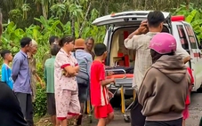 Cưa cây dưới trời mưa, một người bị sét đánh tử vong