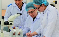 Bộ Nội vụ đề xuất các trường hợp nhân tài vào cơ quan  Nhà nước được hưởng phụ cấp 300%